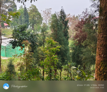 Property for sale in Lava, Kalimpong