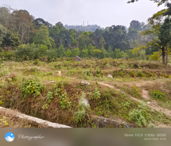 Property for sale in Upper Cart Road, Kalimpong