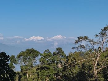 General Registered land With Mount Kanchanjongha View For Sale in Delo , Kalimpong