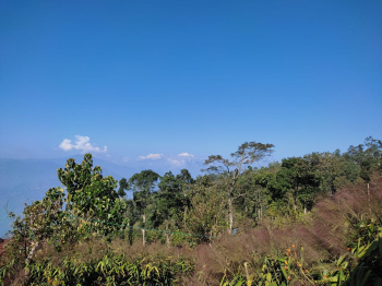 Property for sale in Lava, Kalimpong