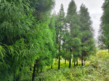 Property for sale in 8th Mile, Kalimpong