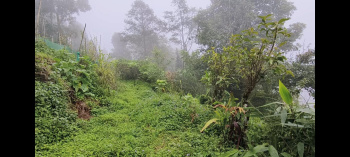 Beautiful Land With Tea Garden & Valley View Available for sale in Kalimpong District