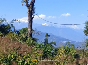 Beautiful Kanchanjunga🏔️ facing Land❤️ Available for sale in Kalimpong