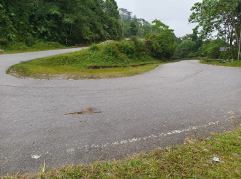 NH171  Highway Touched Land for sale in Kalimpong