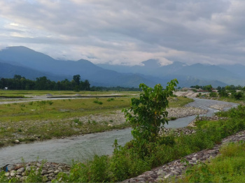 Property for sale in Dooars, Alipurduar