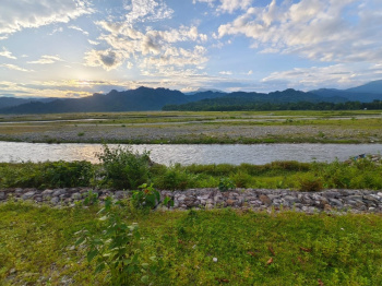 Property for sale in Dooars, Alipurduar
