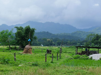Property for sale in Dooars, Alipurduar