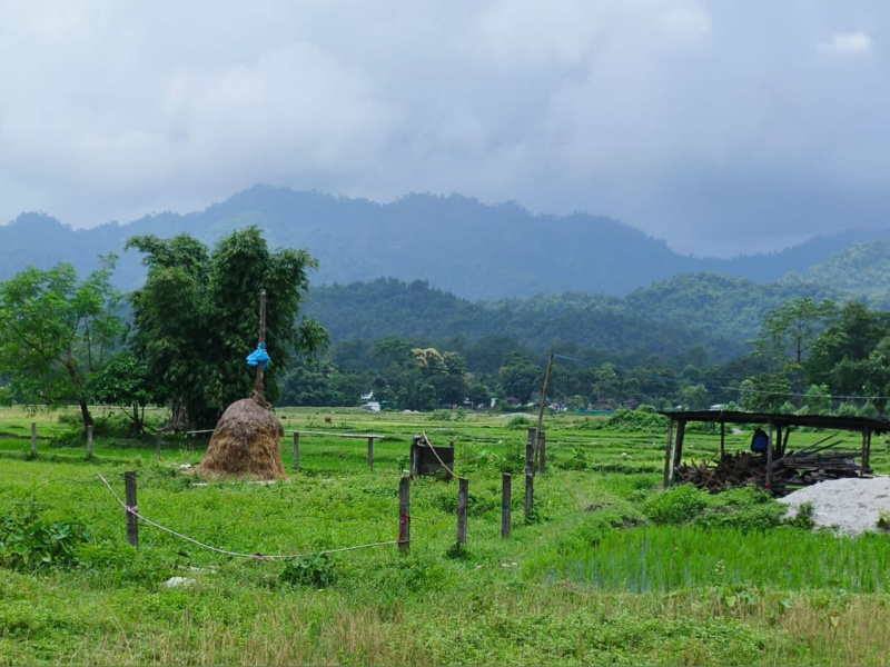 General Registered Beautiful Lands Available For Sale with Different Scenarios In North Bengal
