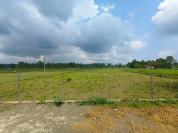 Property for sale in Dooars, Alipurduar