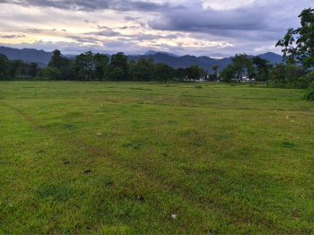 Property for sale in Dooars, Alipurduar