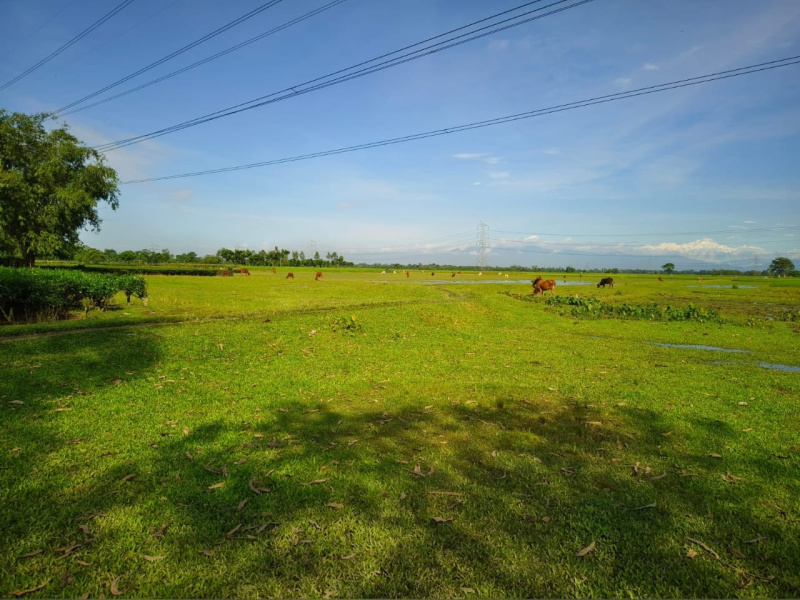 General Registered Beautiful Lands Available For Sale with Different Scenarios In North Bengal