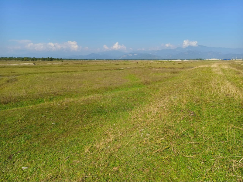 General Registered Beautiful Lands Available For Sale with Different Scenarios In North Bengal