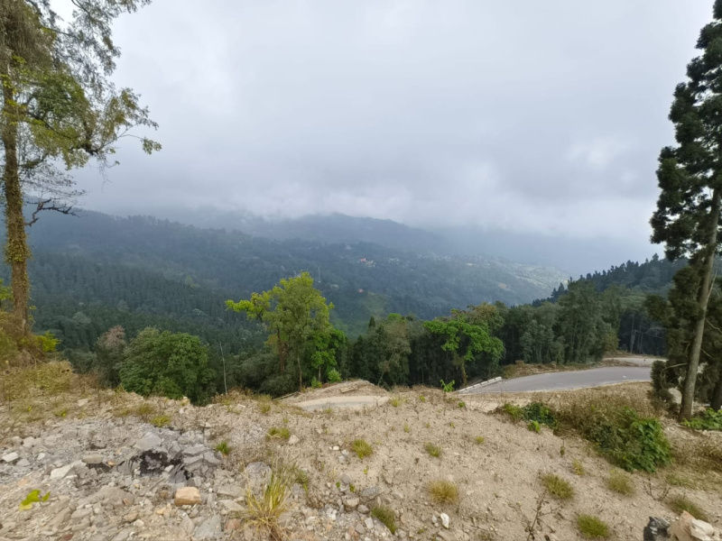 General Registered Beautiful Lands Available For Sale with Different Scenarios In North Bengal