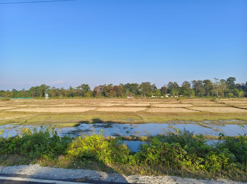 General Registered Forest & River View Land Available For Sale in Lataguri