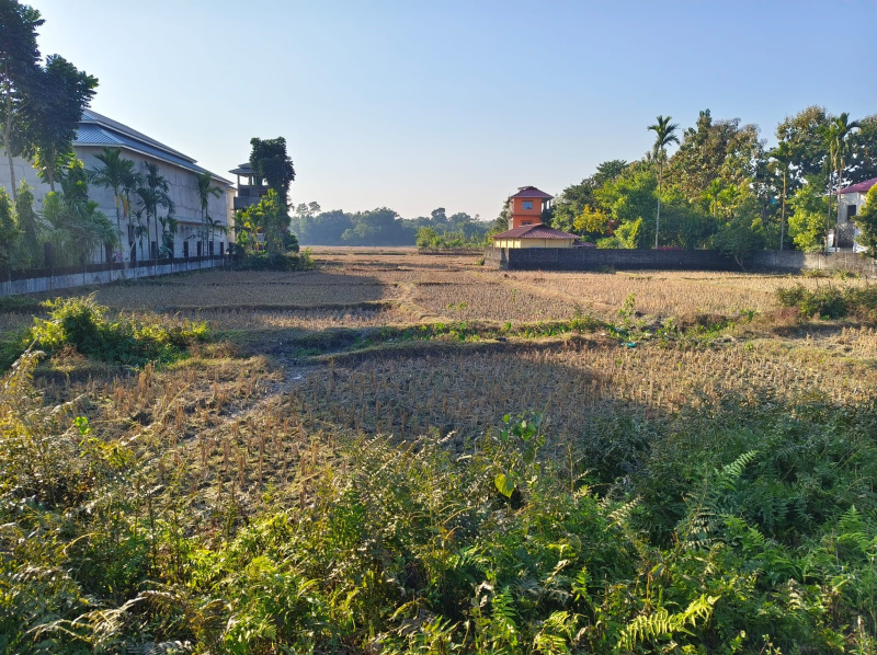 General Registered Forest & River View Land Available For Sale in Lataguri