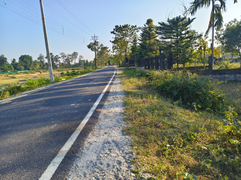 General Registered Forest & River View Land Available For Sale in Lataguri