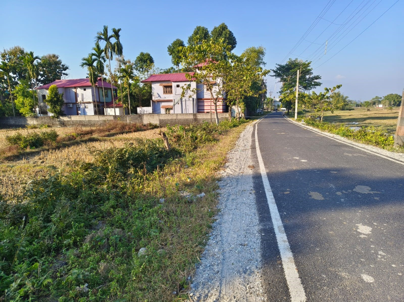 General Registered Forest & River View Land Available For Sale in Lataguri