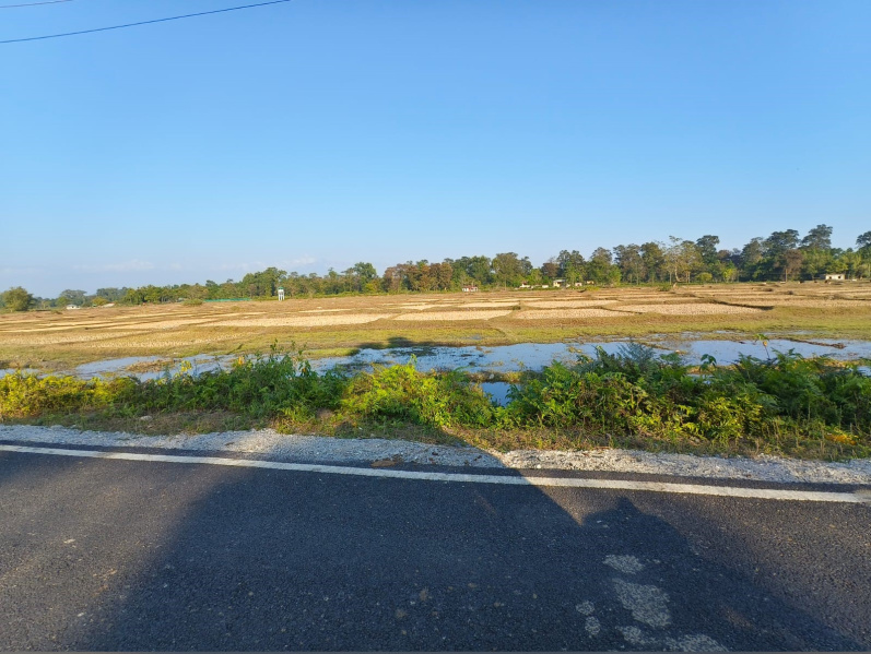 General Registered Forest & River View Land Available For Sale in Lataguri