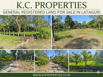 General Registered Forest & River View Land Available For Sale in Lataguri