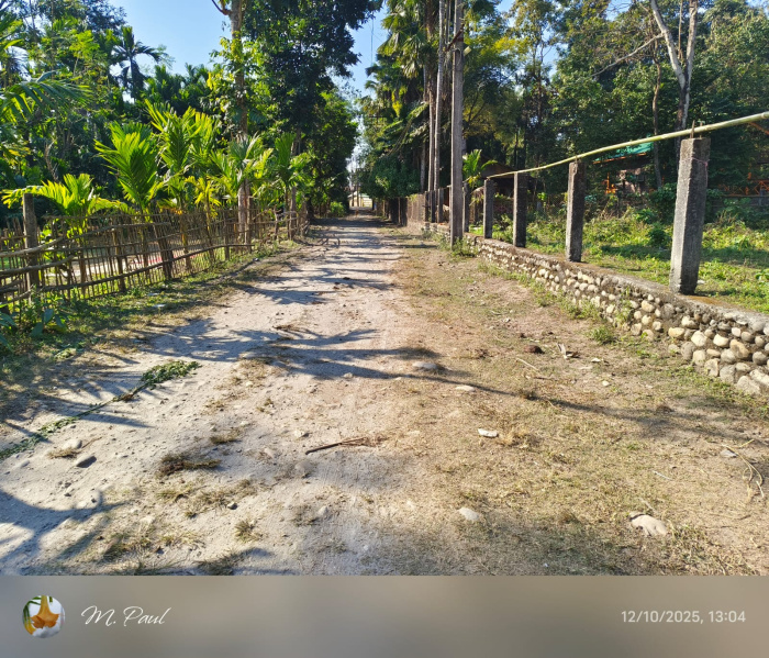General Registered Forest & River View Land Available For Sale in Lataguri