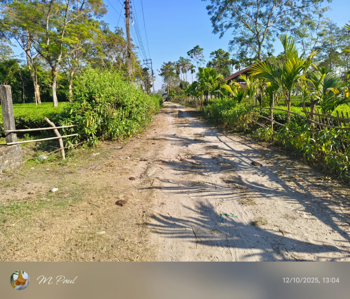 General Registered Forest & River View Land Available For Sale in Lataguri