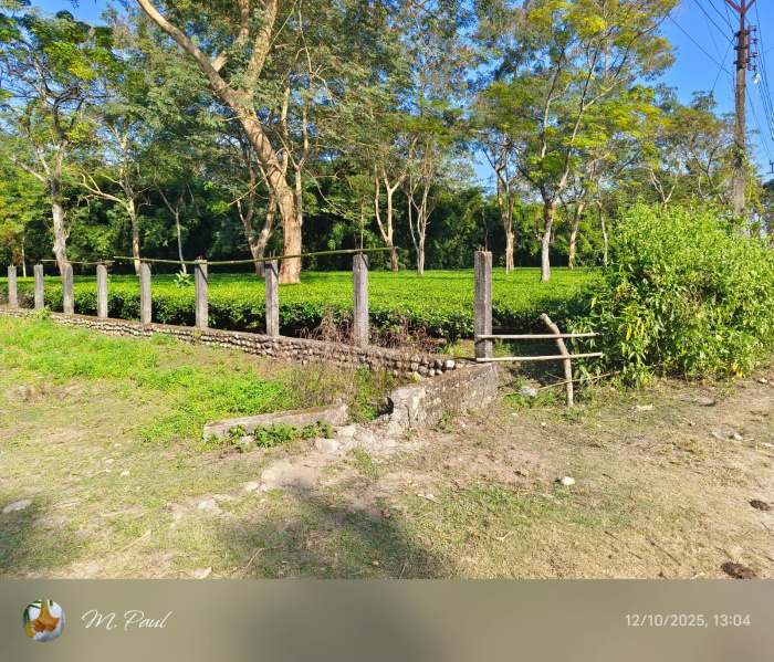 General Registered Forest & River View Land Available For Sale in Lataguri