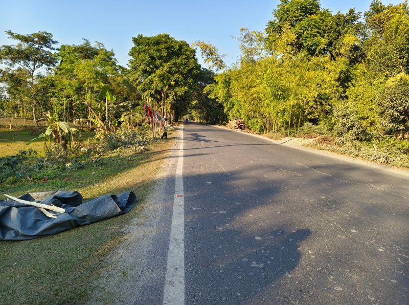 General Registered Land For sale Beside NH31 In Jalpaiguri District