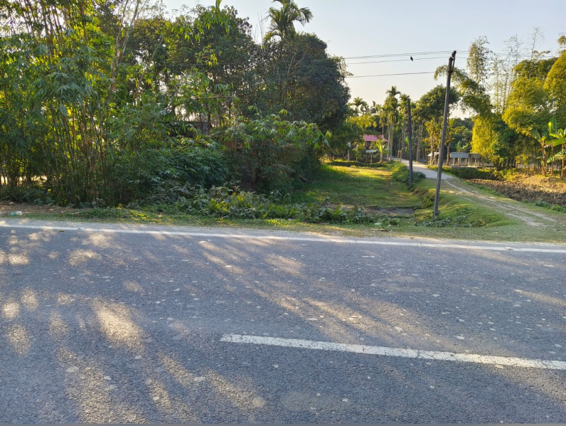 General Registered Land For sale Beside NH31 In Jalpaiguri District