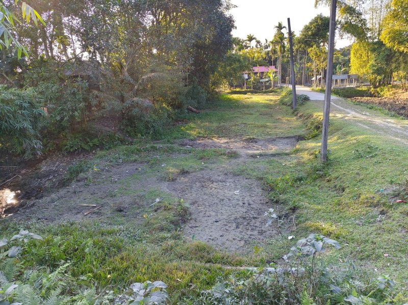General Registered Land For sale Beside NH31 In Jalpaiguri District