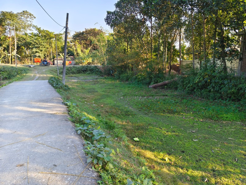 General Registered Land For sale Beside NH31 In Jalpaiguri District