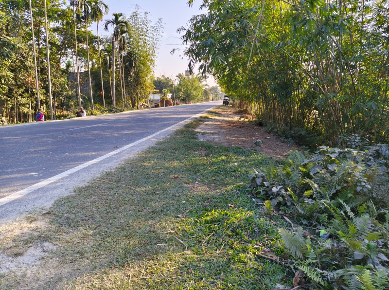General Registered Land For sale Beside NH31 In Jalpaiguri District