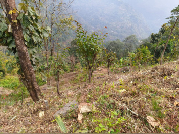 Property for sale in Lava, Kalimpong