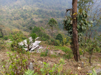 Property for sale in Lava, Kalimpong
