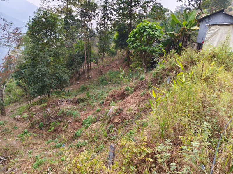 General Registered Land For sale Beside NH717A , Kalimpong District