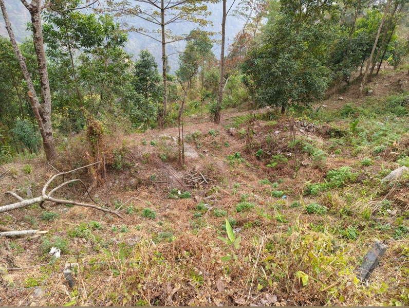 General Registered Land For sale Beside NH717A , Kalimpong District