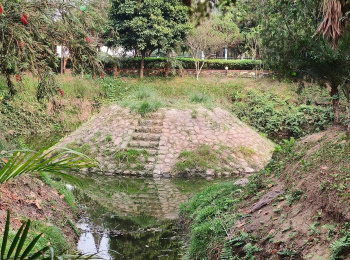 Property for sale in Lataguri, Jalpaiguri