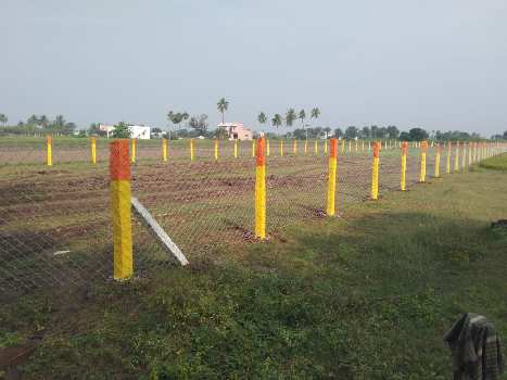 59 Cent Agricultural/Farm Land for Sale in Tiruvannamalai