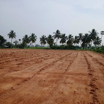 150 Cent Commercial Lands /Inst. Land for Sale in Sathiyavijayanagaram, Tiruvannamalai