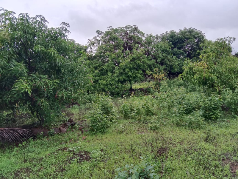 Agriculture Farmhouse Land for sale in Neral from 20 Lacs.