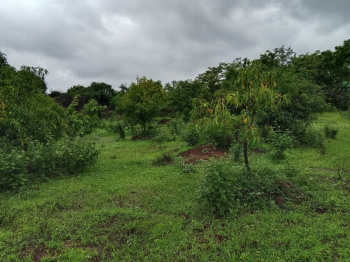 Agriculture Farmhouse Land for sale in Neral from 20 Lacs.