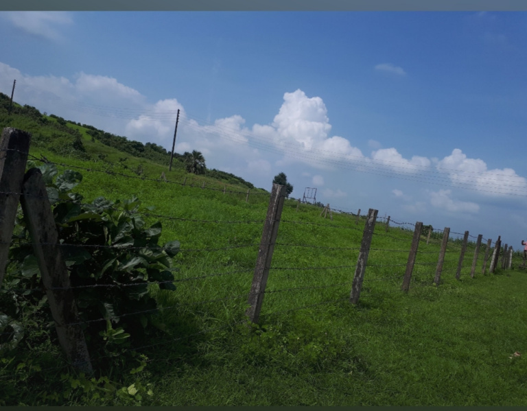 9 Guntha Residential Plot for Sale in Neral, Raigad