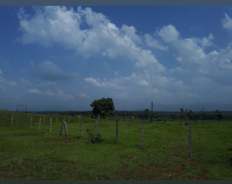 9 Guntha Residential Plot for Sale in Neral, Raigad