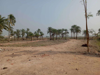 2 Katha Residential Plot for Sale in Joka, Kolkata