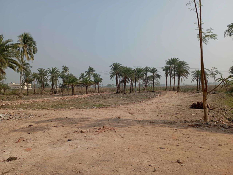 2 Katha Residential Plot for Sale in Joka, Kolkata