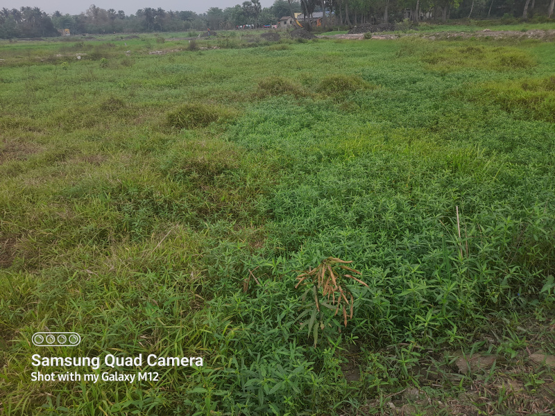 720 Sq.ft. Commercial Lands /Inst. Land for Sale in West Bengal