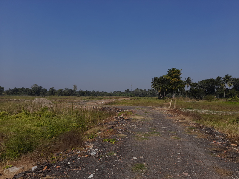720 Sq.ft. Agricultural/Farm Land for Sale in Joka, Kolkata