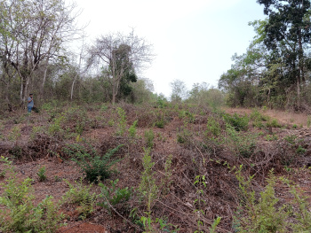 Wonderful Piece of Land in ORCHARD ZONE available for Sale in Revora