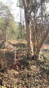 Premium Villa Plot for sale in Salvador Do Mumdo
