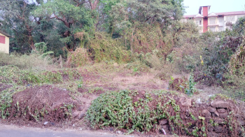 Premium Main Road Touch Old Settlement Land is available for Sale in Arpora North goa