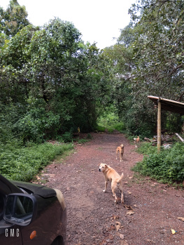 Premium Settlement Land in Parra is available for Sale